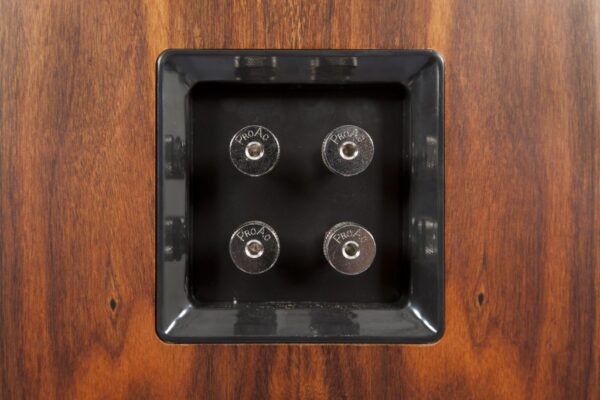 ProAc Response D30 Floorstanding Speaker - Image 4