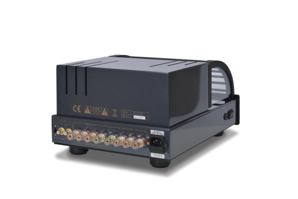 PrimaLuna EVO 100 Tube Power Amplifier back