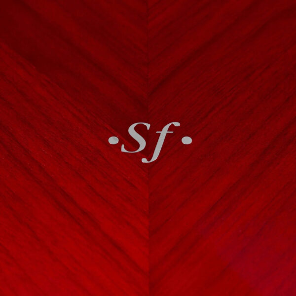 Sonus Faber Amati G5 Floostanding Speakers Red Wood Italian Leather 2
