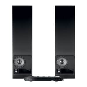 Focal 100 IWSUB8 High Power Passive Bass Reflex Subwoofer 1