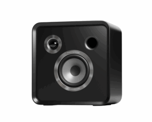 Eversolo SE100 Bookshelf speakers