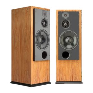 ATC SCM100ASLT Active Floorstanding Speakers 1